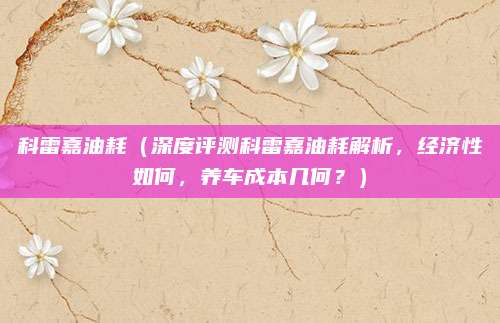 科雷嘉油耗(深度评测科雷嘉油耗解析,经济性如何,养车成本几何?)