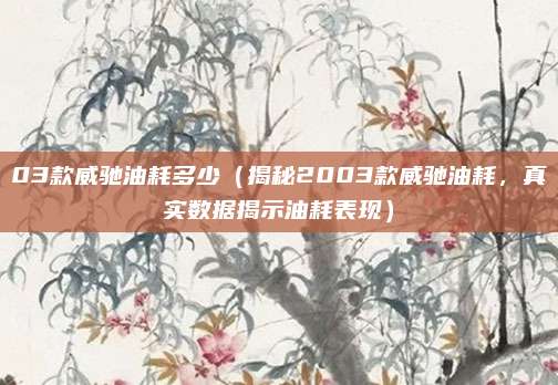 03款威驰油耗多少(揭秘2003款威驰油耗,真实数据揭示油耗表现)