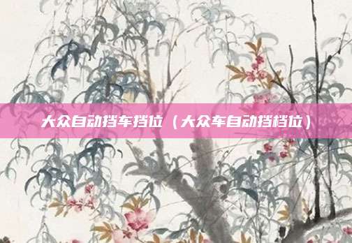 大众自动挡车挡位(大众车自动挡档位)