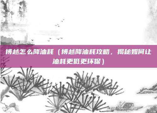 博越怎么降油耗(博越降油耗攻略,揭秘如何让油耗更低更环保)