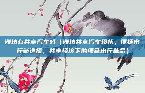 潍坊有共享汽车吗(潍坊共享汽车现状,便捷出行新选择,共享经济下的绿色出行革命)