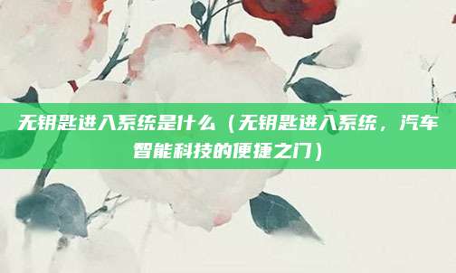 无钥匙进入系统是什么(无钥匙进入系统,汽车智能科技的便捷之门)