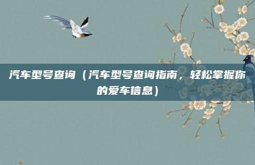 汽车型号查询(汽车型号查询指南,轻松掌握你的爱车信息)