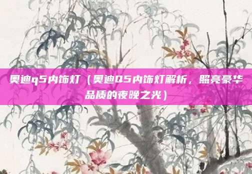 奥迪q5内饰灯(奥迪Q5内饰灯解析,照亮豪华品质的夜晚之光)