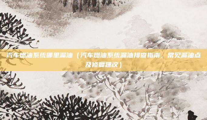 汽车燃油系统哪里漏油(汽车燃油系统漏油排查指南,常见漏油点及修复建议)