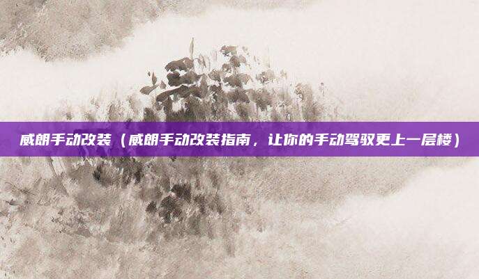 威朗手动改装（威朗手动改装指南，让你的手动驾驭更上一层楼）