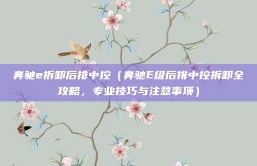 奔驰e拆卸后排中控(奔驰E级后排中控拆卸全攻略,专业技巧与注意事项)