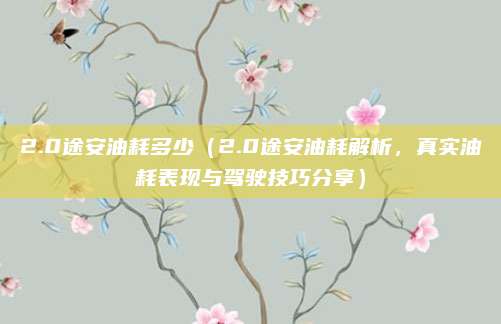 2.0途安油耗多少(2.0途安油耗解析,真实油耗表现与驾驶技巧分享)