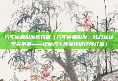 汽车质量投诉该找谁(汽车质量投诉,找对途径至关重要——揭秘汽车质量投诉途径详解)