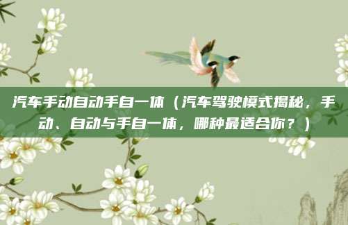 汽车手动自动手自一体(汽车驾驶模式揭秘,手动、自动与手自一体,哪种最适合你?)