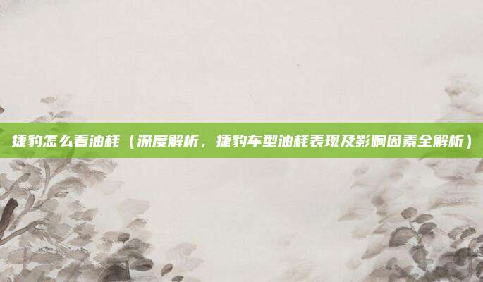 捷豹怎么看油耗(深度解析,捷豹车型油耗表现及影响因素全解析)