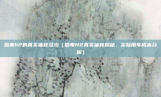 哈弗h2的真实油耗多少(哈弗H2真实油耗揭秘,实际用车成本分析)