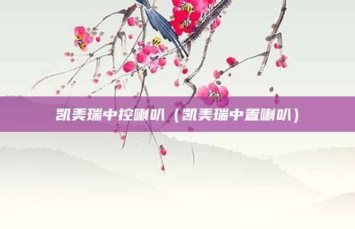 凯美瑞中控喇叭(凯美瑞中置喇叭)