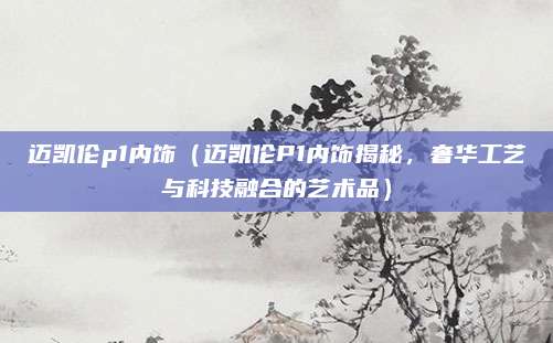迈凯伦p1内饰(迈凯伦P1内饰揭秘,奢华工艺与科技融合的艺术品)