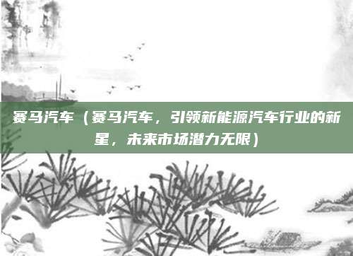 赛马汽车(赛马汽车,引领新能源汽车行业的新星,未来市场潜力无限)