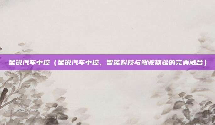 星锐汽车中控(星锐汽车中控,智能科技与驾驶体验的完美融合)