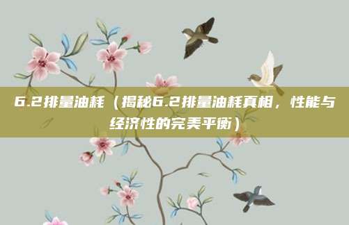 6.2排量油耗(揭秘6.2排量油耗真相,性能与经济性的完美平衡)
