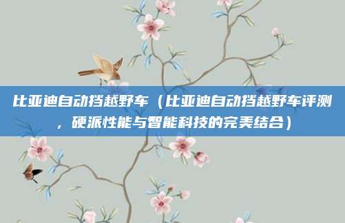 比亚迪自动挡越野车(比亚迪自动挡越野车评测,硬派性能与智能科技的完美结合)