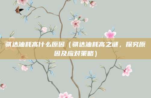 骐达油耗高什么原因(骐达油耗高之谜,探究原因及应对策略)