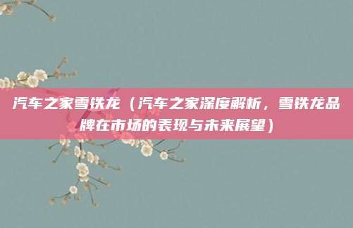 汽车之家雪铁龙(汽车之家深度解析,雪铁龙品牌在市场的表现与未来展望)