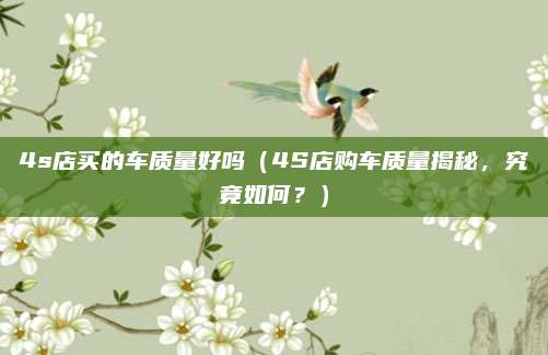 4s店买的车质量好吗(4S店购车质量揭秘,究竟如何?)