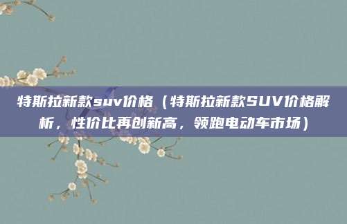 特斯拉新款suv价格(特斯拉新款SUV价格解析,性价比再创新高,领跑电动车市场)