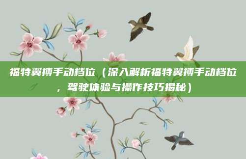 福特翼搏手动档位（深入解析福特翼搏手动档位，驾驶体验与操作技巧揭秘）
