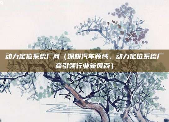 动力定位系统厂商（深耕汽车领域，动力定位系统厂商引领行业新风尚）