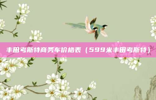 丰田考斯特商务车价格表(599米丰田考斯特)