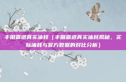 丰田霸道真实油耗(丰田霸道真实油耗揭秘,实际油耗与官方数据的对比分析)