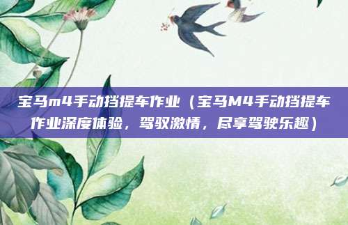 宝马m4手动挡提车作业(宝马M4手动挡提车作业深度体验,驾驭激情,尽享驾驶乐趣)