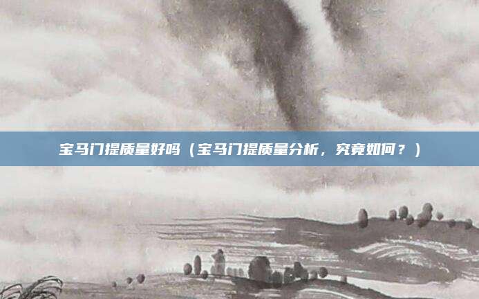 宝马门提质量好吗(宝马门提质量分析,究竟如何?)