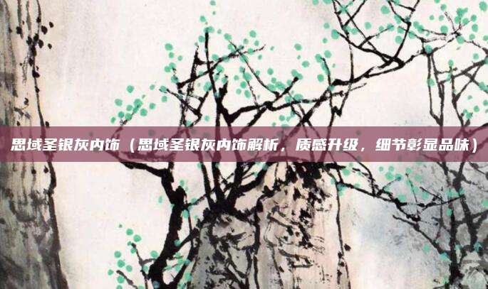 思域圣银灰内饰(思域圣银灰内饰解析,质感升级,细节彰显品味)