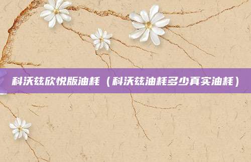 科沃兹欣悦版油耗(科沃兹油耗多少真实油耗)
