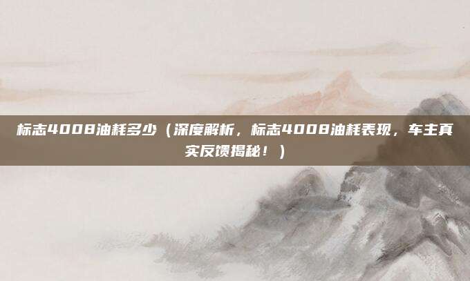 标志4008油耗多少（深度解析，标志4008油耗表现，车主真实反馈揭秘！）
