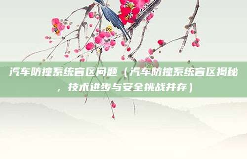 汽车防撞系统盲区问题(汽车防撞系统盲区揭秘,技术进步与安全挑战并存)
