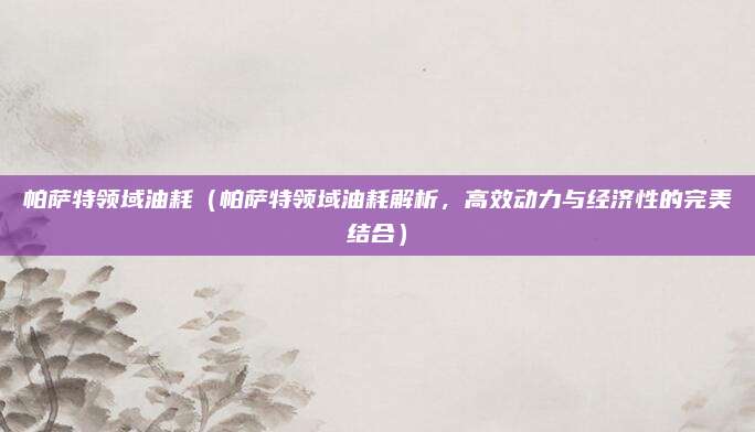 帕萨特领域油耗(帕萨特领域油耗解析,高效动力与经济性的完美结合)