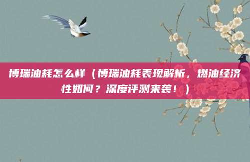 博瑞油耗怎么样(博瑞油耗表现解析,燃油经济性如何?深度评测来袭!)
