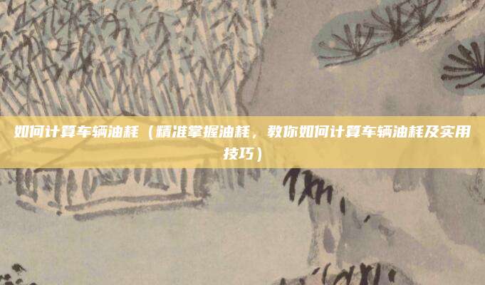 如何计算车辆油耗(精准掌握油耗,教你如何计算车辆油耗及实用技巧)