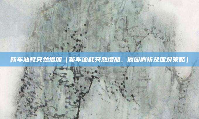 新车油耗突然增加(新车油耗突然增加,原因解析及应对策略)