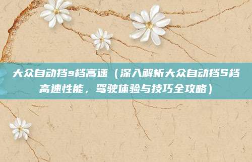 大众自动挡s档高速(深入解析大众自动挡S档高速性能,驾驶体验与技巧全攻略)