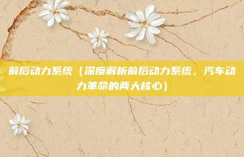 前后动力系统（深度解析前后动力系统，汽车动力革命的两大核心）
