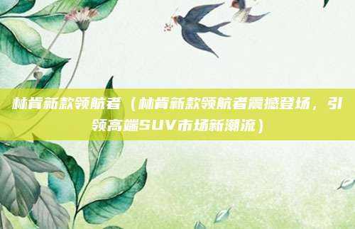 林肯新款领航者(林肯新款领航者震撼登场,引领高端SUV市场新潮流)