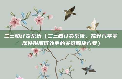 二三箱订货系统(二三箱订货系统,提升汽车零部件供应链效率的关键解决方案)