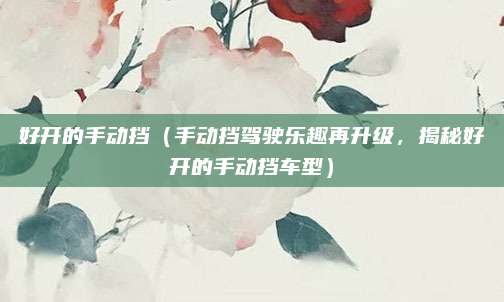 好开的手动挡(手动挡驾驶乐趣再升级,揭秘好开的手动挡车型)