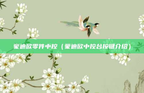 蒙迪欧零件中控(蒙迪欧中控台按键介绍)