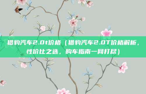 猎豹汽车2.0t价格(猎豹汽车2.0T价格解析,性价比之选,购车指南一网打尽)