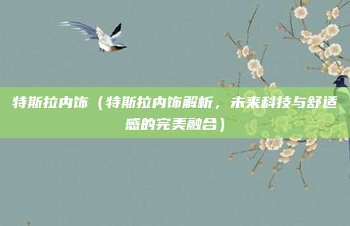 特斯拉内饰(特斯拉内饰解析,未来科技与舒适感的完美融合)