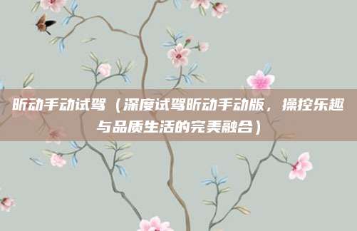 昕动手动试驾(深度试驾昕动手动版,操控乐趣与品质生活的完美融合)