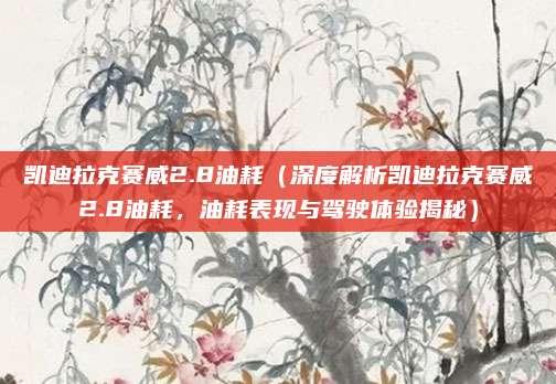 凯迪拉克赛威2.8油耗(深度解析凯迪拉克赛威2.8油耗,油耗表现与驾驶体验揭秘)